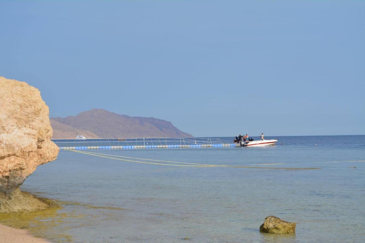 The Mo Place El Montaza Sharm el-Sheikh Exteriör bild